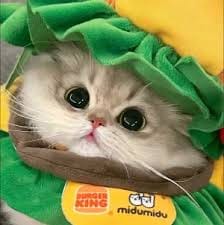 Trần Duy Nam avatar